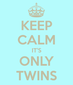 keep-calm-its-only-twins-19